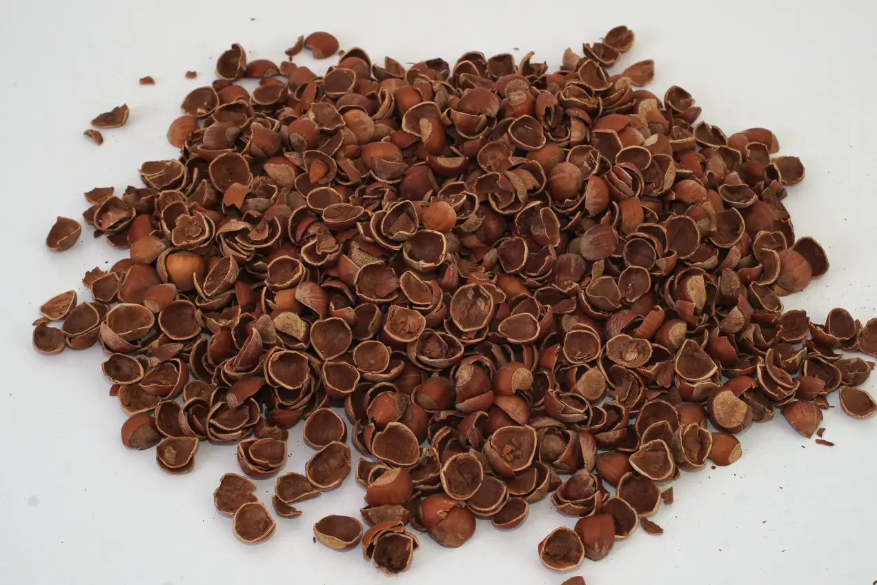 Findik Kabugu 2 Hazelnut Shell Nutshell Toptankabuksatisicom