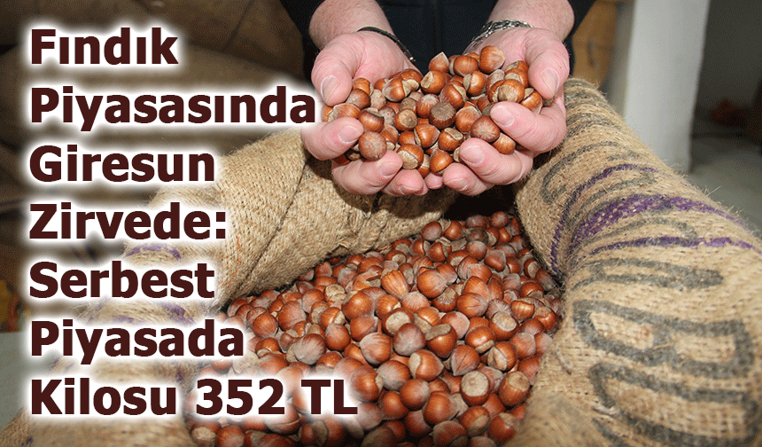 Fındık Piyasasında Giresun Zirvede: Serbest Piyasada Kilosu 352 TL