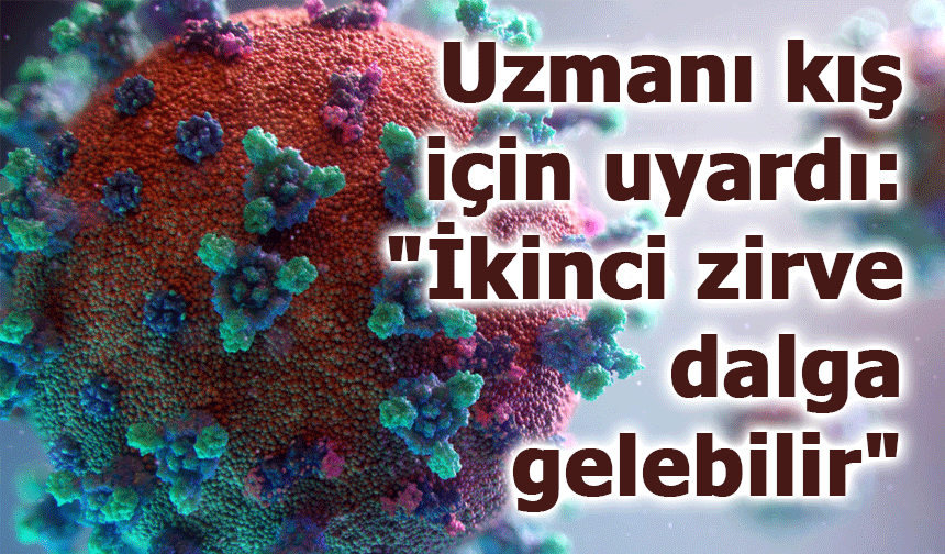 Uzmanı kış için uyardı: "İkinci zirve dalga gelebilir"