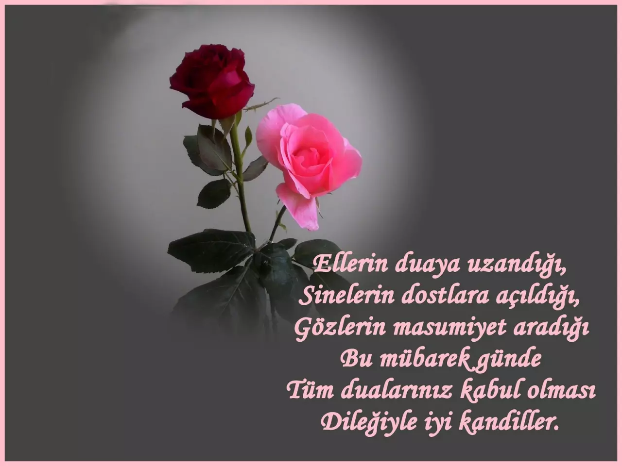 Ix Mw E 1676617078 7804