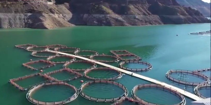 Erzurum'da 3,38 milyar destekle 5 bin 226 kişilik istihdam oluştu