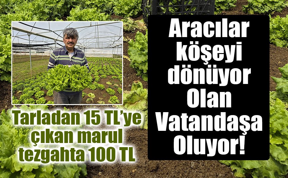 Tarladan 15 TL’ye çıkan marul tezgahta 100 TL: Üretici aracılardan şikayetçi
