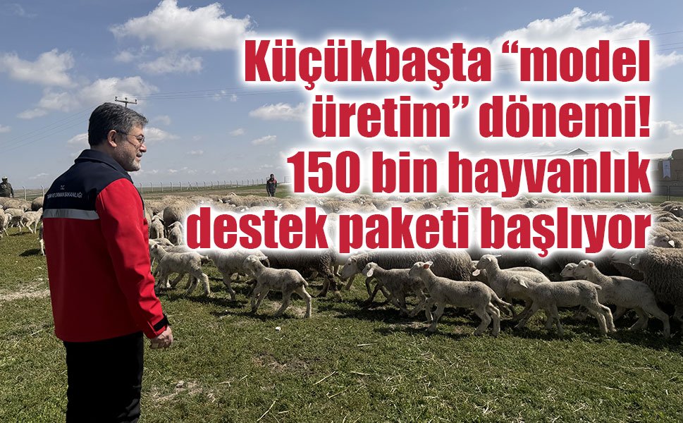 Küçükbaşta “model üretim” dönemi: 150 bin hayvanlık destek paketi başlıyor