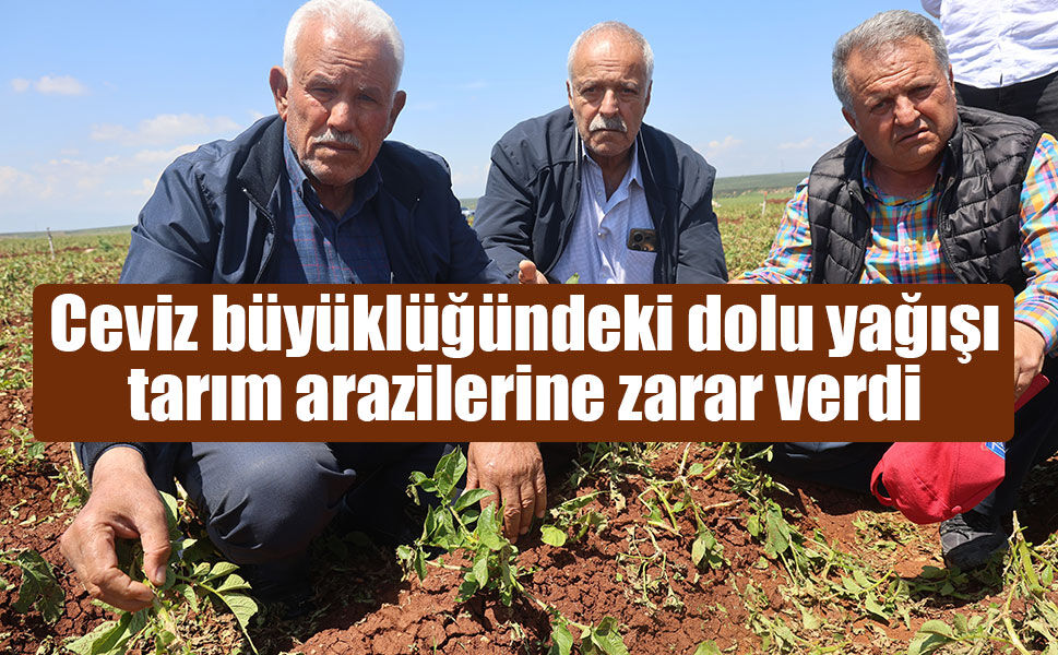 Ceviz büyüklüğündeki dolu Amik Ovası’nı vurdu