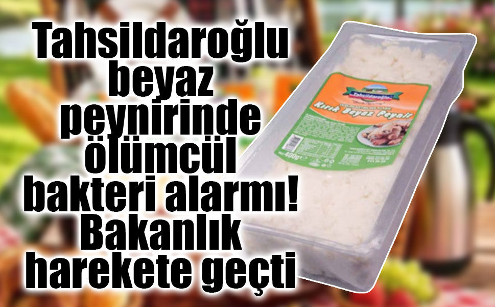 Tahsildaroğlu beyaz peynirinde ölümcül bakteri alarmı! Bakanlık harekete geçti