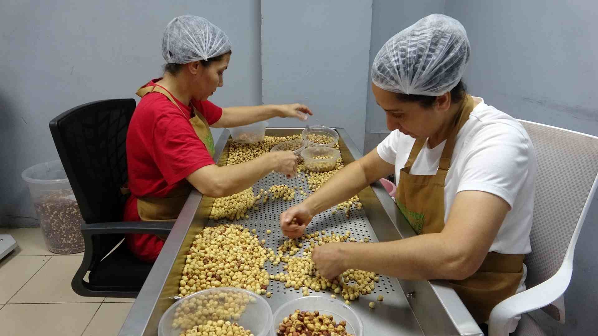 Gurbetçiler fındığını artık emanete bırakmıyor: Katma değerli ürüne dönüştürüyor