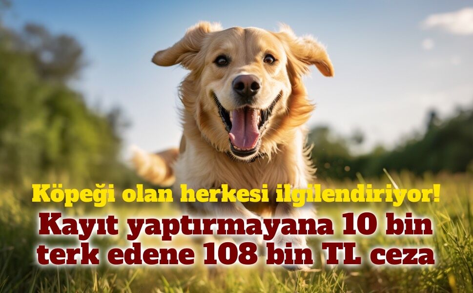 Köpek sahipleri dikkat! Kayıt yaptırmayana 10 bin, terk edene 108 bin TL ceza