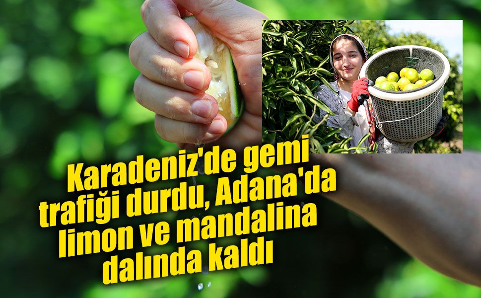 Karadeniz'de gemi trafiği durdu, Adana'da limon ve mandalina dalında kaldı